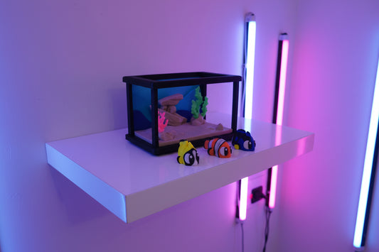 Aquarium Tank & Fish